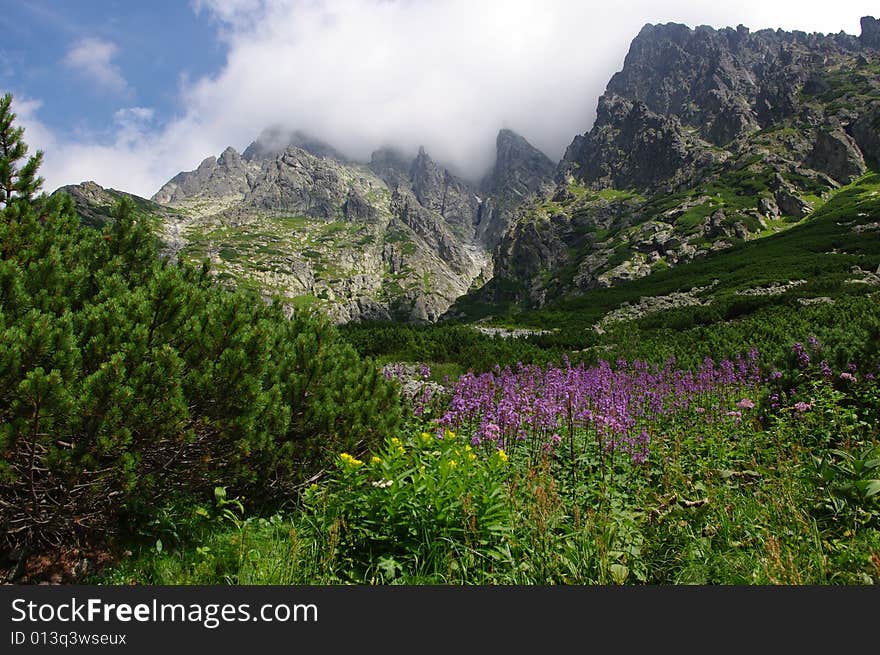 High Tatras