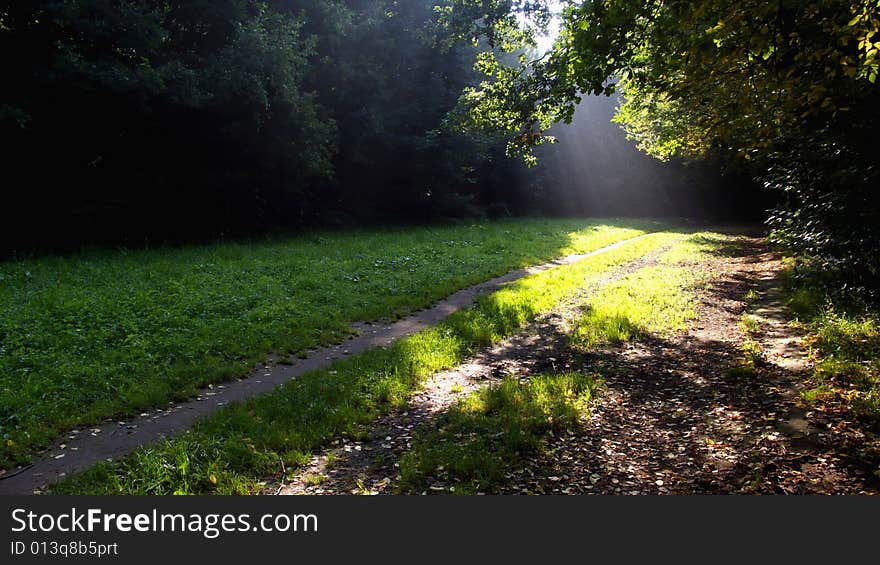 Path through Forest with Sun Beam. Path through Forest with Sun Beam