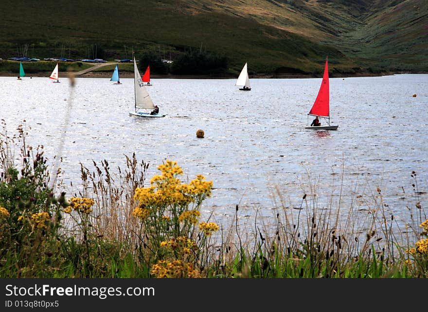 Sailing Boats