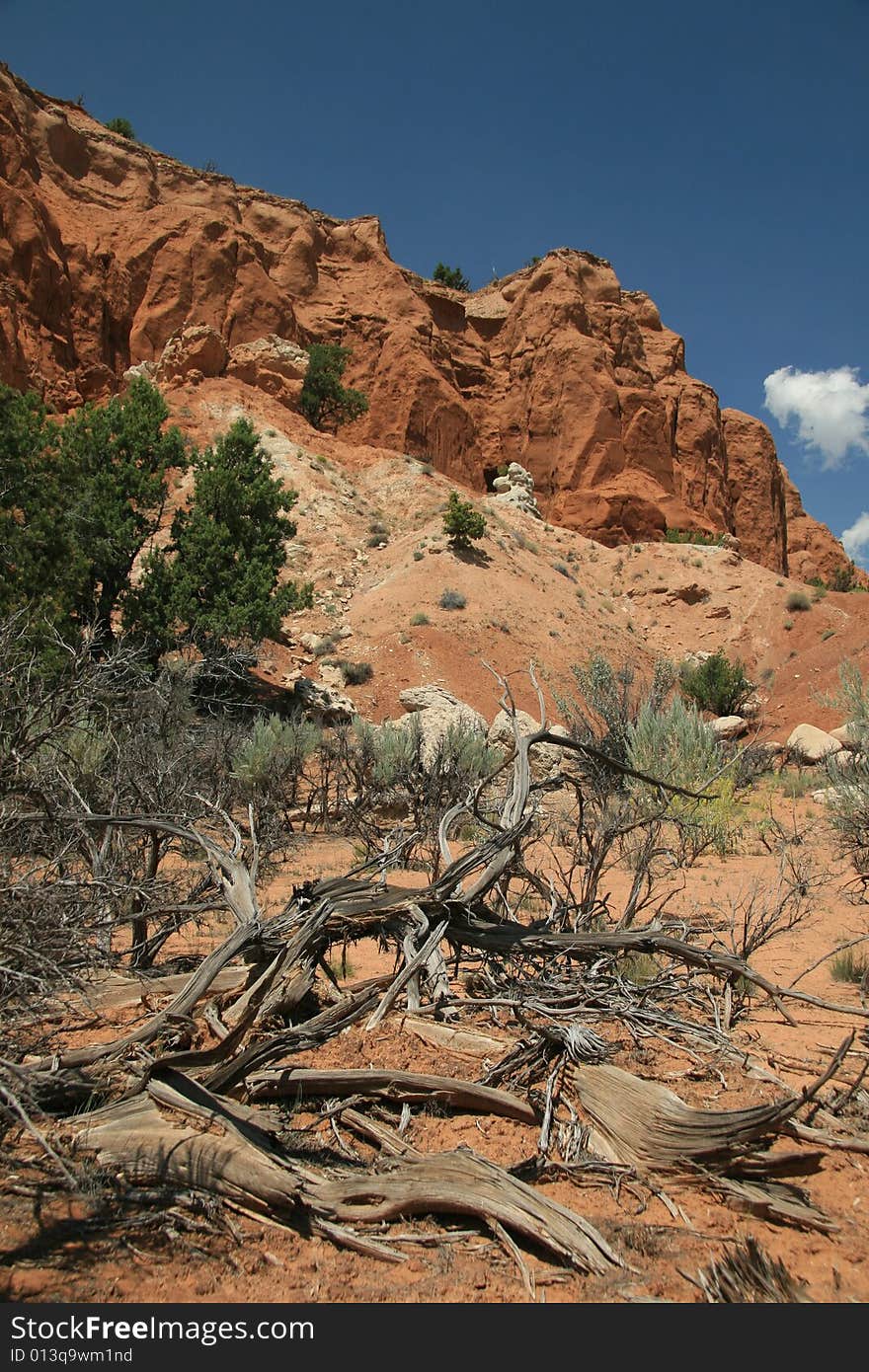 Kodachrome Basin State Park in Utah featuring sand pipes.