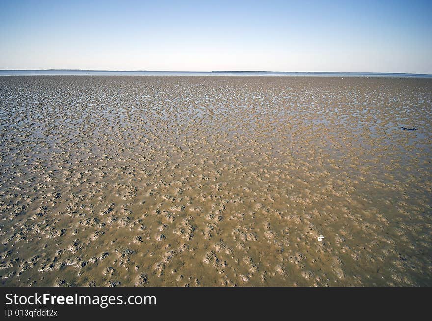 Sandy Ocean Floor - Low water at the Danish Wadden Sea National Park