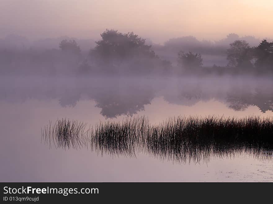 Magenta sunrise with fog over pond