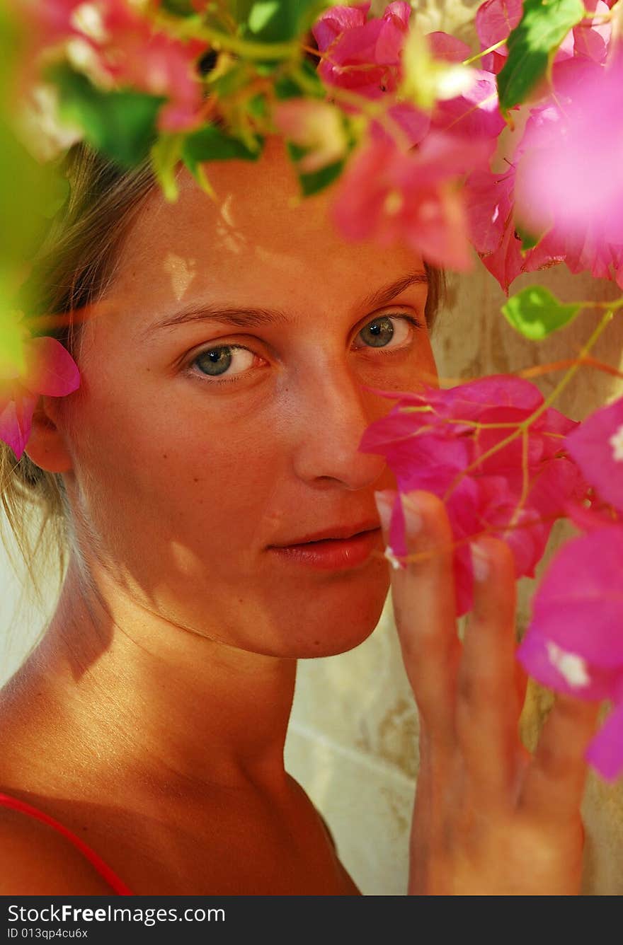 Portrait of young girl which smells a flower. Portrait of young girl which smells a flower