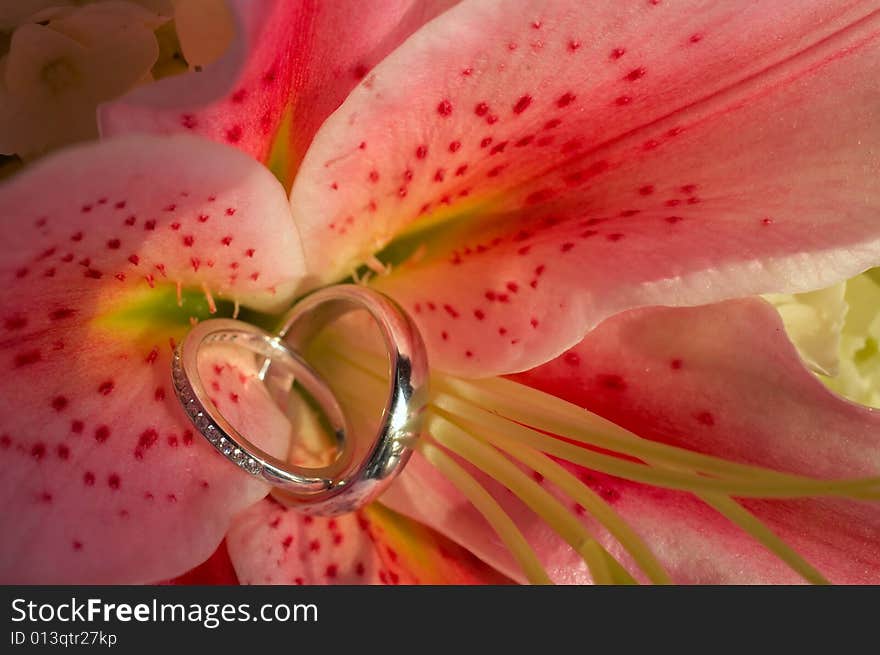 Closeup of wedding rings on pink flower DOF focus on diamonds