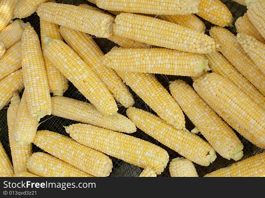 Background of fresh yellow corn on the cob. Background of fresh yellow corn on the cob