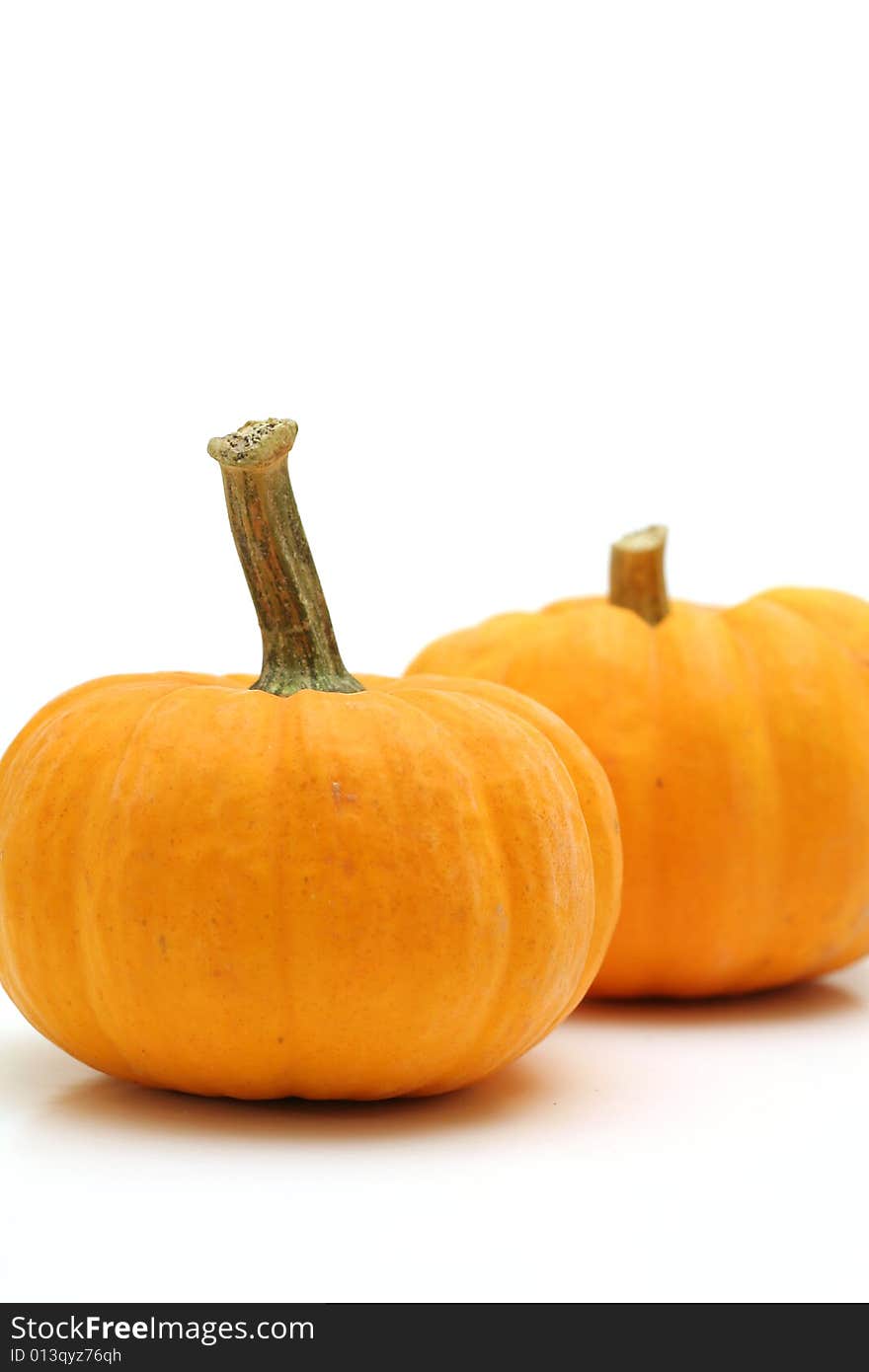 Pumpkins On White Vertical