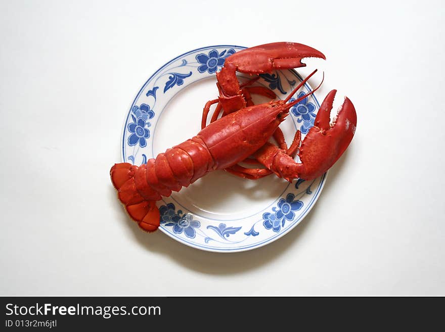 Lobster