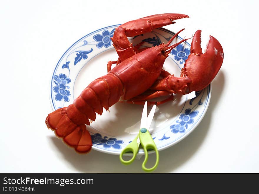 Lobster