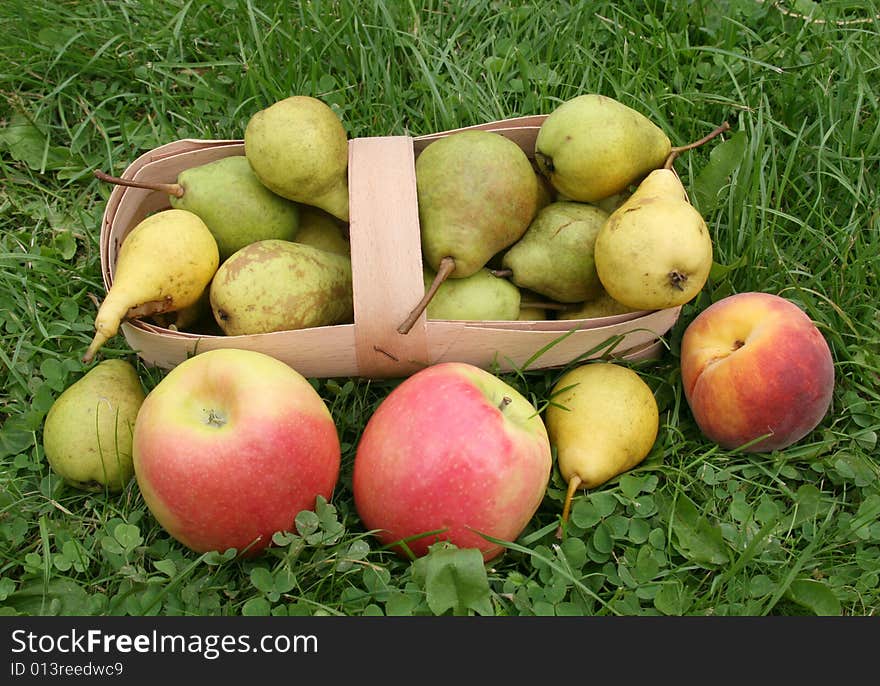 Yellow and light basket with pears and a peach with apples on a green grass