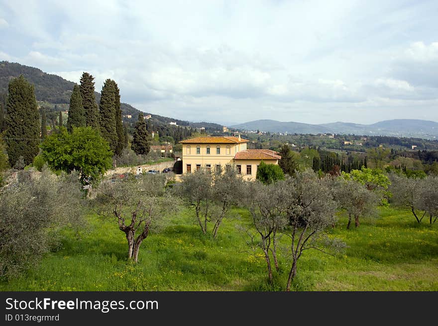 The Tuscan Hills