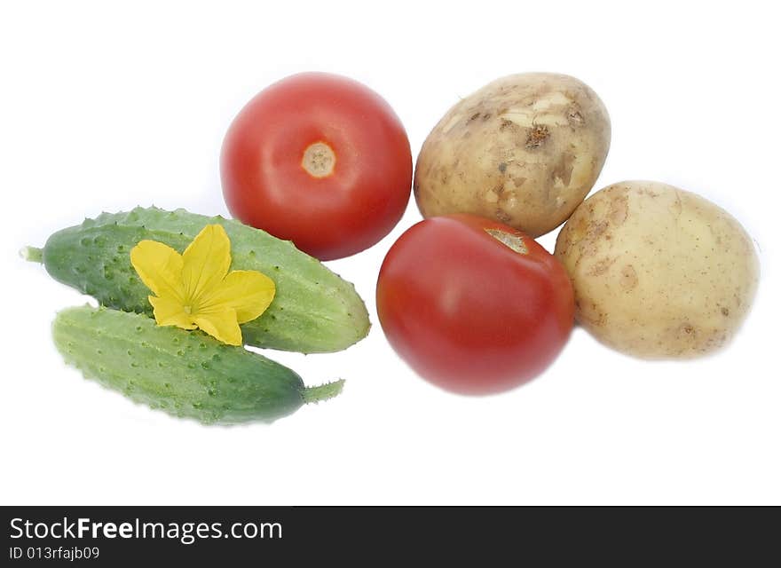 Vegetables plants