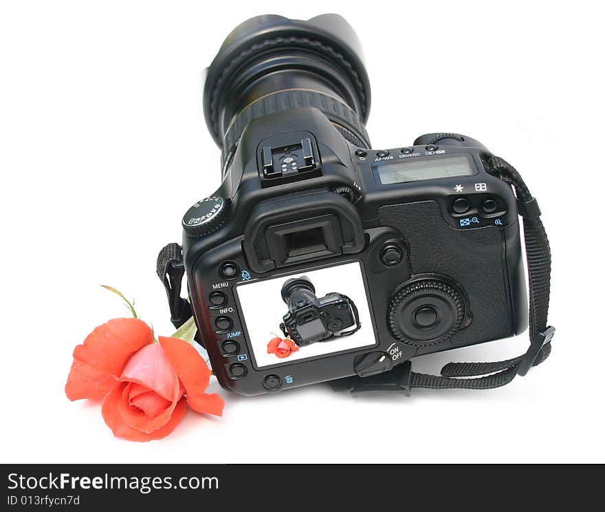 Camera with colors on a white background and flower scarlet a rose  and  small a picture