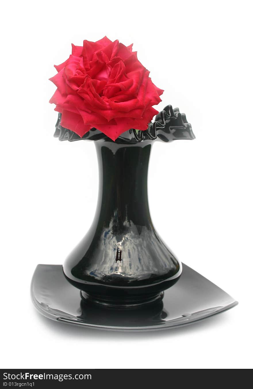 Red rose in a black vase on a white background