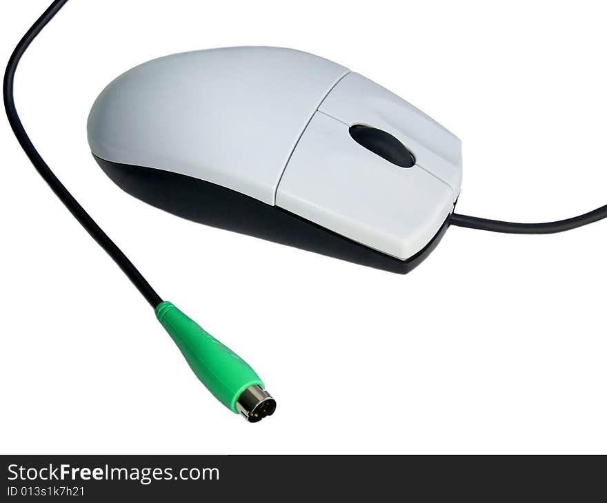 Computer Mouse