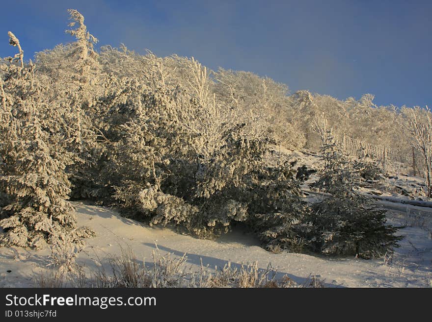 Winter evening on Jedlova Hill