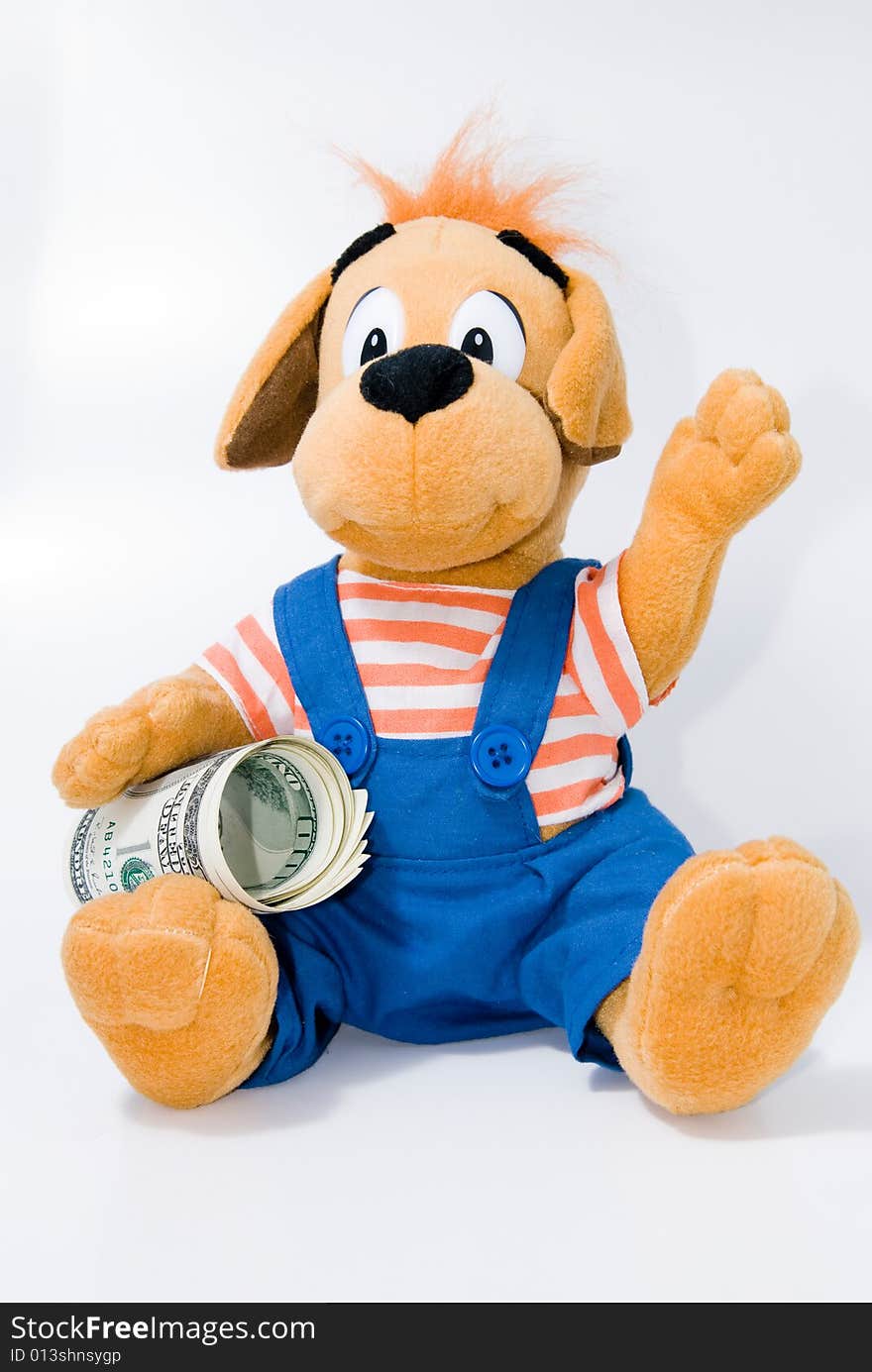 Dog toy with money