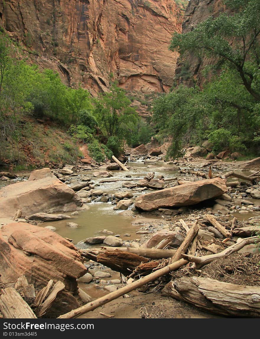 Zion National Park