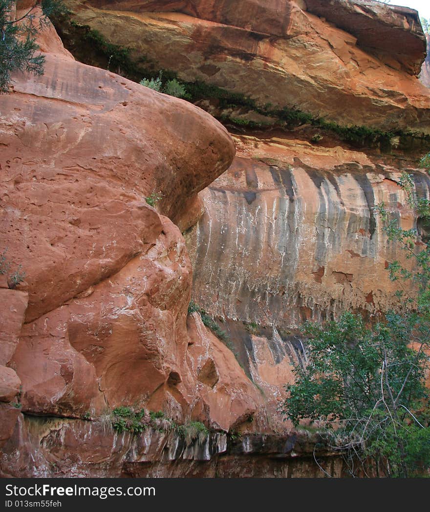 Zion National Park