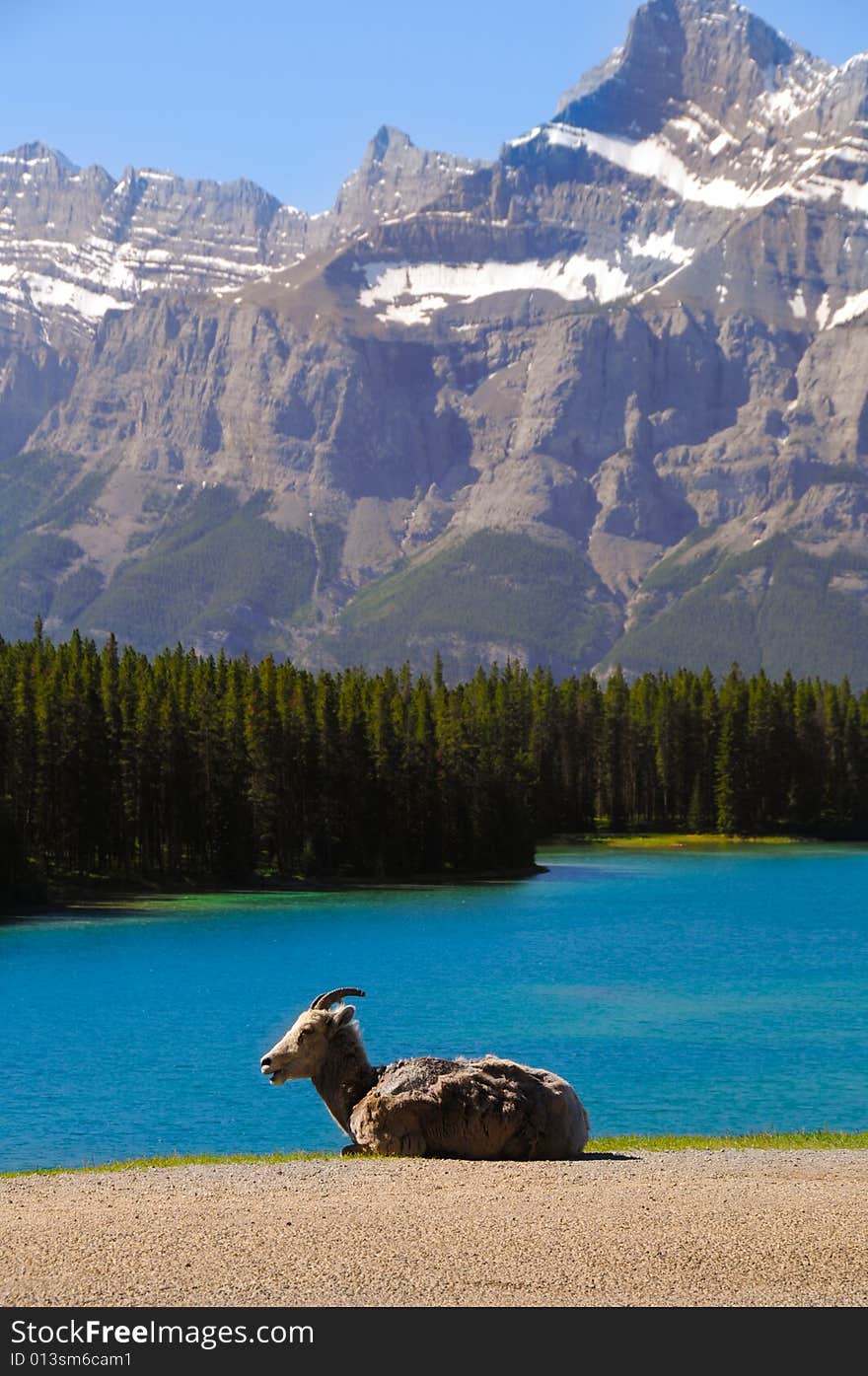 Blue lake and some mountain in canada. Blue lake and some mountain in canada