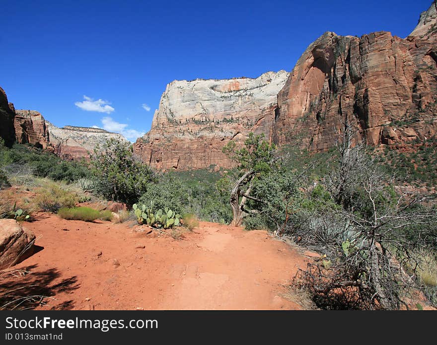 Zion National Park