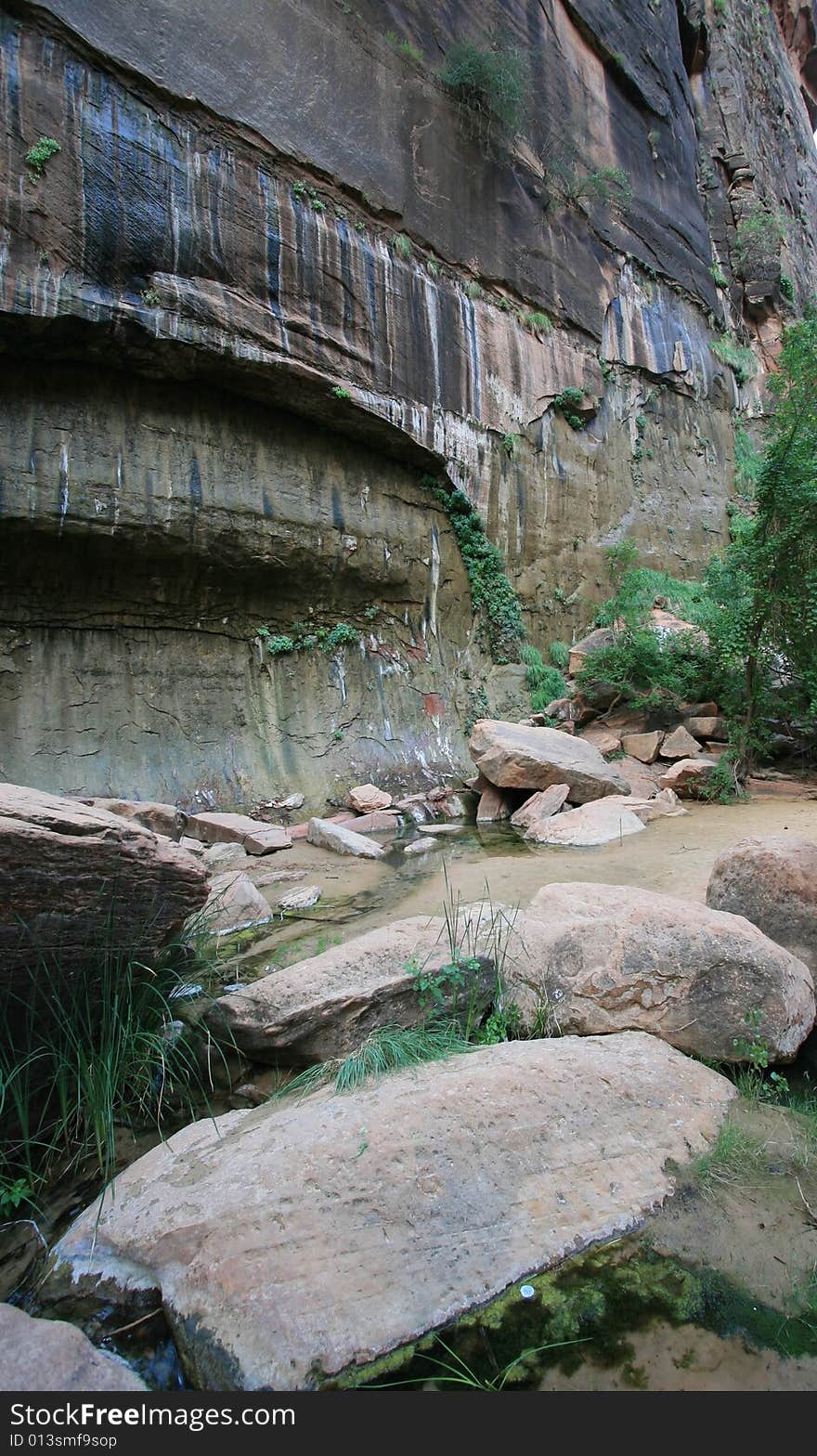 Zion National Park