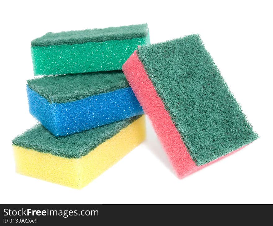 Sponges