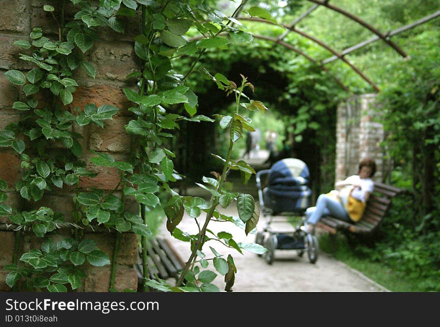 Mother with littel baby in the garden. Mother with littel baby in the garden