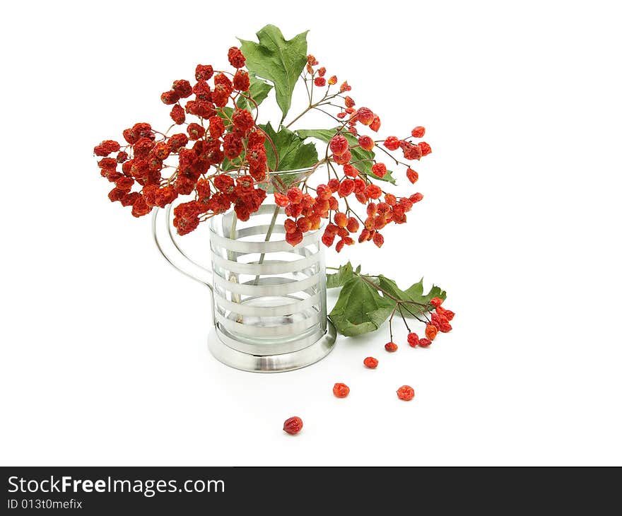 Bouquet of a ashberry on white background.