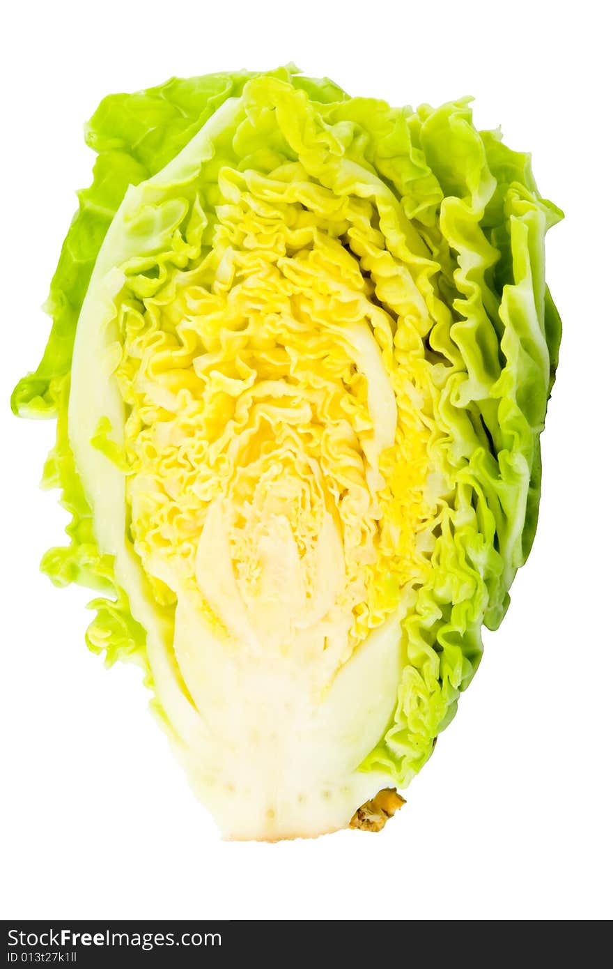 A piece of green cabbage - vegetable - detail