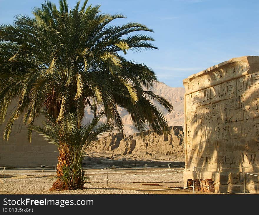 A lone palm in desert.rocks,ruins.luxor.egypt.warm winter of upper egypt. A lone palm in desert.rocks,ruins.luxor.egypt.warm winter of upper egypt