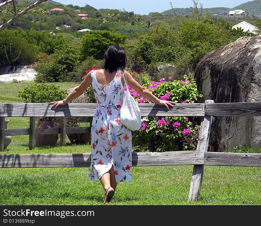 At The Fence