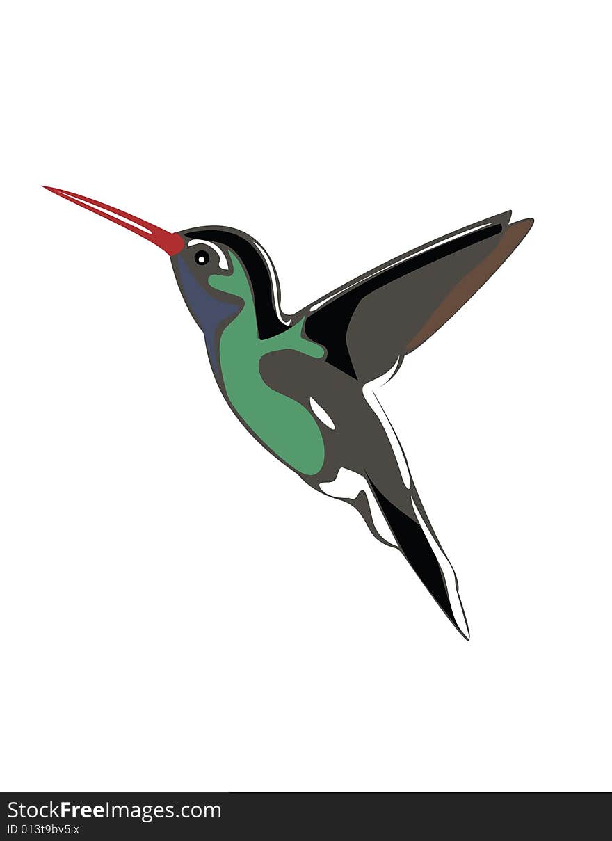 An illustration of a hummingbird