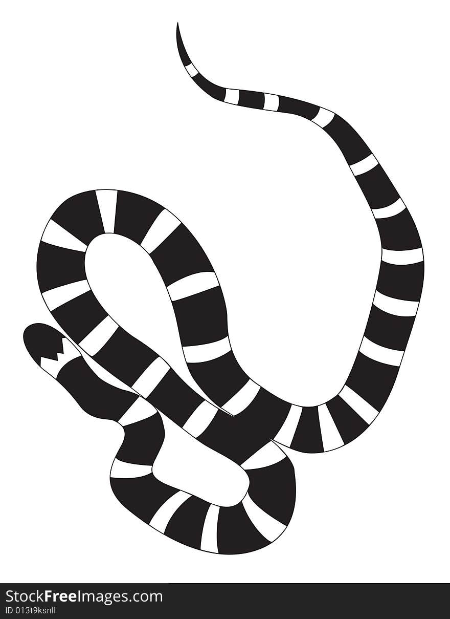 An illustration of a kingsnake