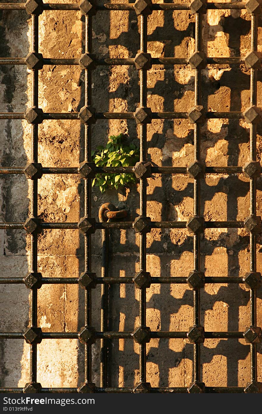 Old Iron Railing