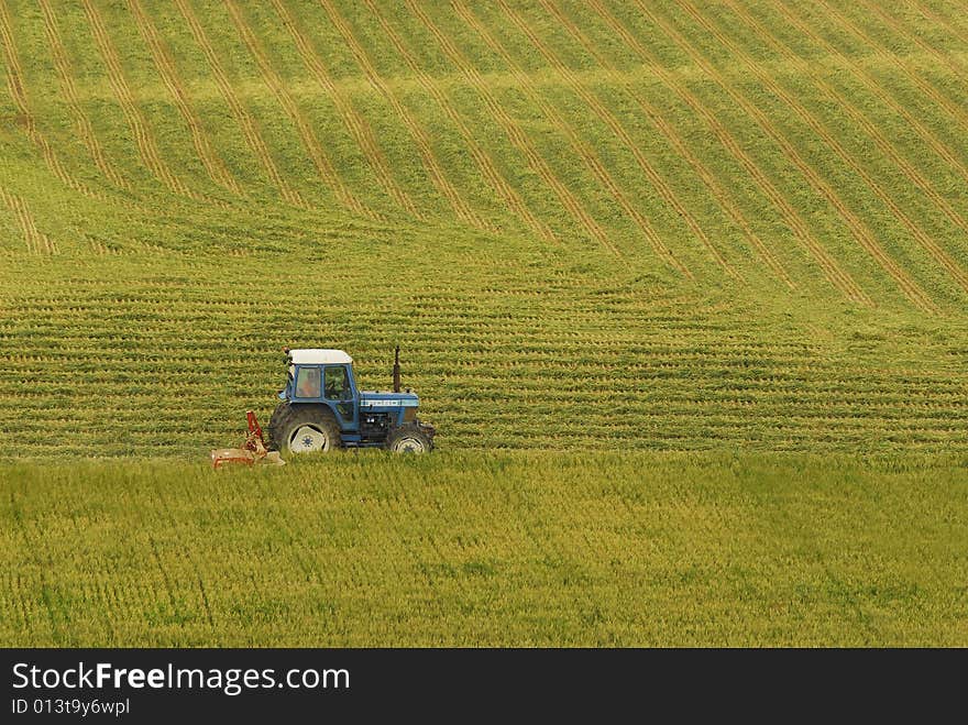 Green new Portugal combine harverts view from the back at corn earning time in summer. Green new Portugal combine harverts view from the back at corn earning time in summer