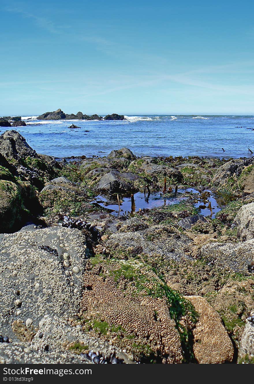 Low tide view of the northen shore of portugal, less know but very beautifull. Low tide view of the northen shore of portugal, less know but very beautifull.