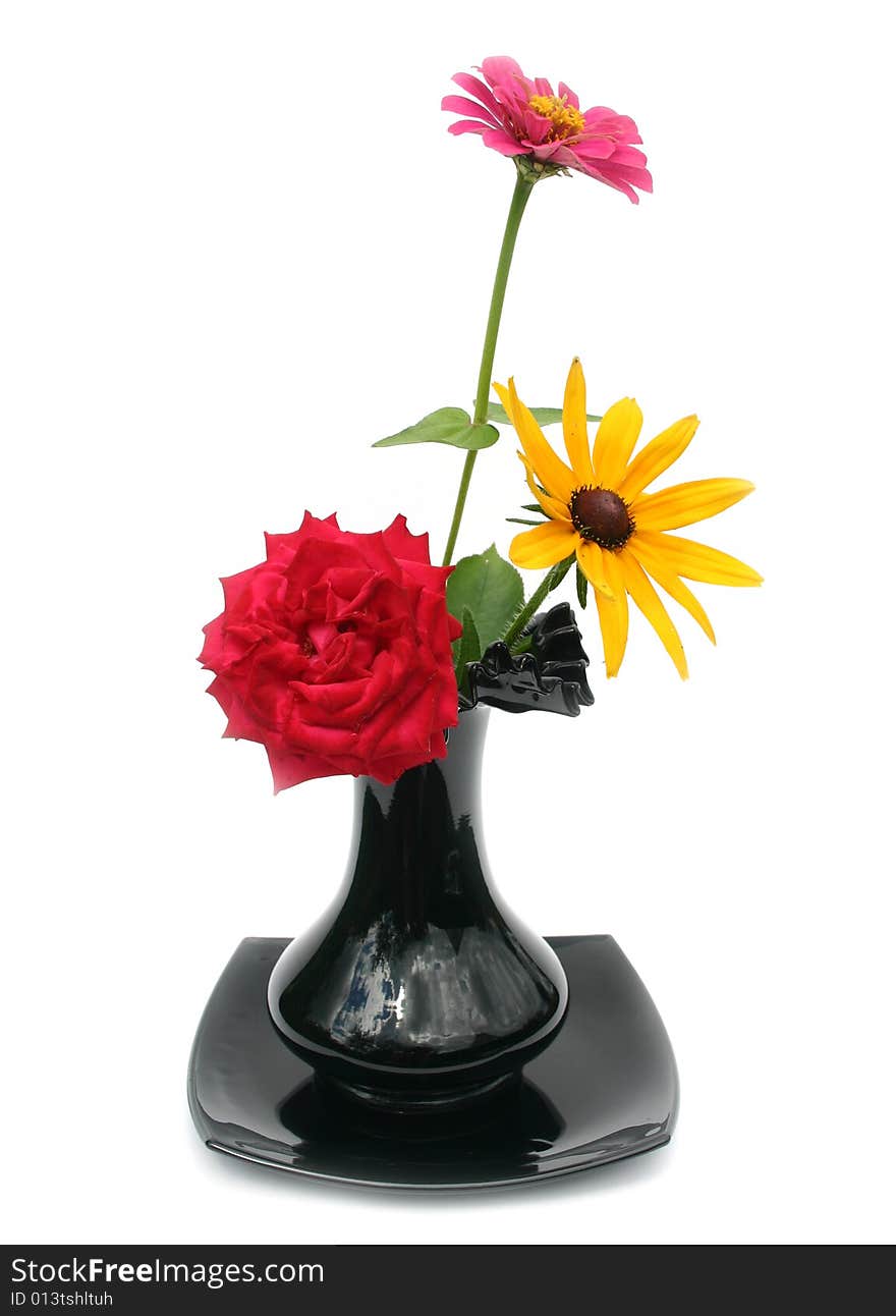 Flowers in a black vase on a white background. Flowers in a black vase on a white background