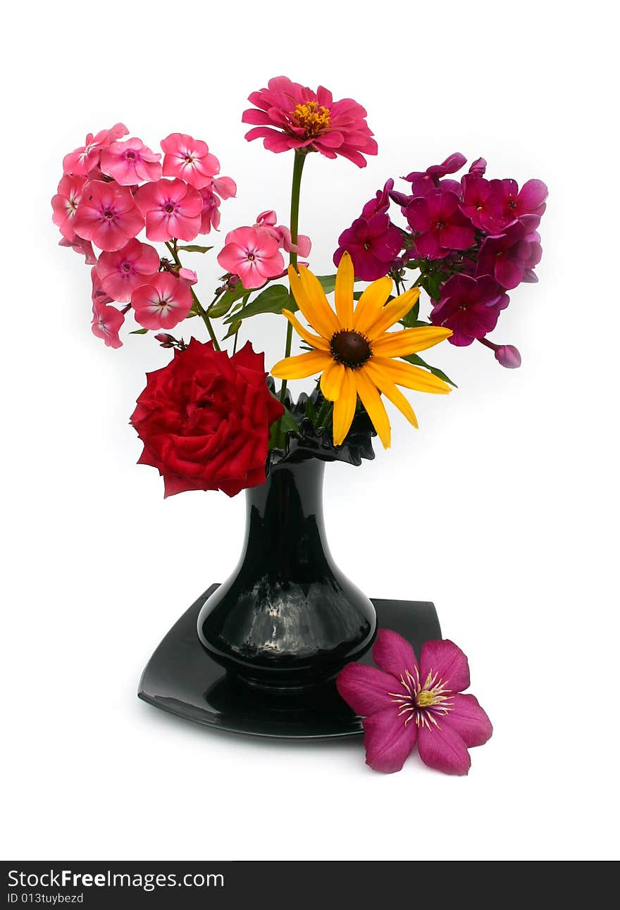 Beautiful flowers in a black vase on a white background. Beautiful flowers in a black vase on a white background