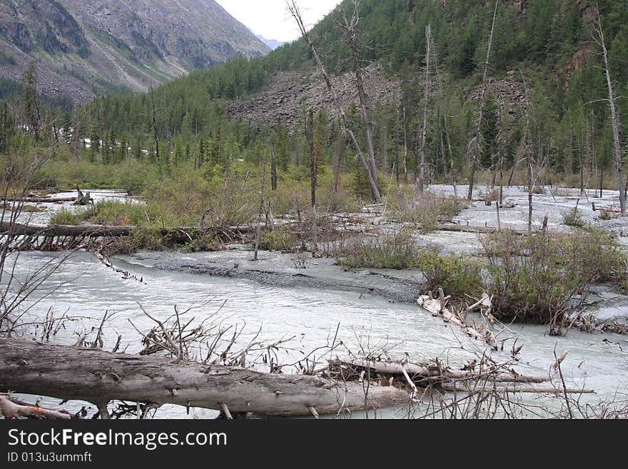 Altai Mountain in summer