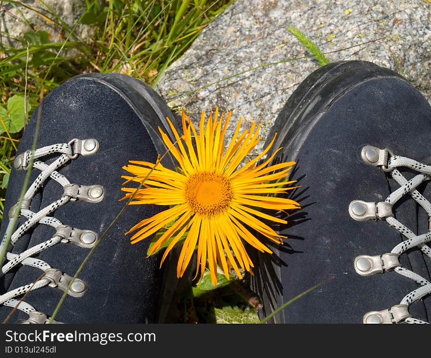 Mountain boots and flower (Caucasus)