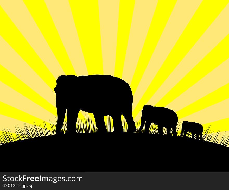 Elephants Illustration