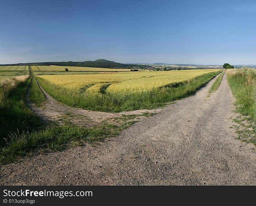 Idyllic barley field in Germany, seen in the north of Hessen near Ahnatal (Kassel). Idyllic barley field in Germany, seen in the north of Hessen near Ahnatal (Kassel)