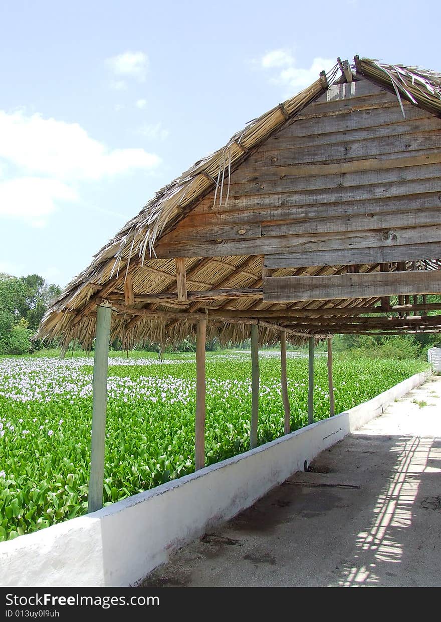 Small ranch in cuban province of Granma