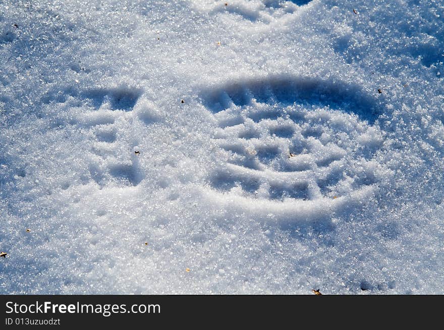 Footprint In Snow