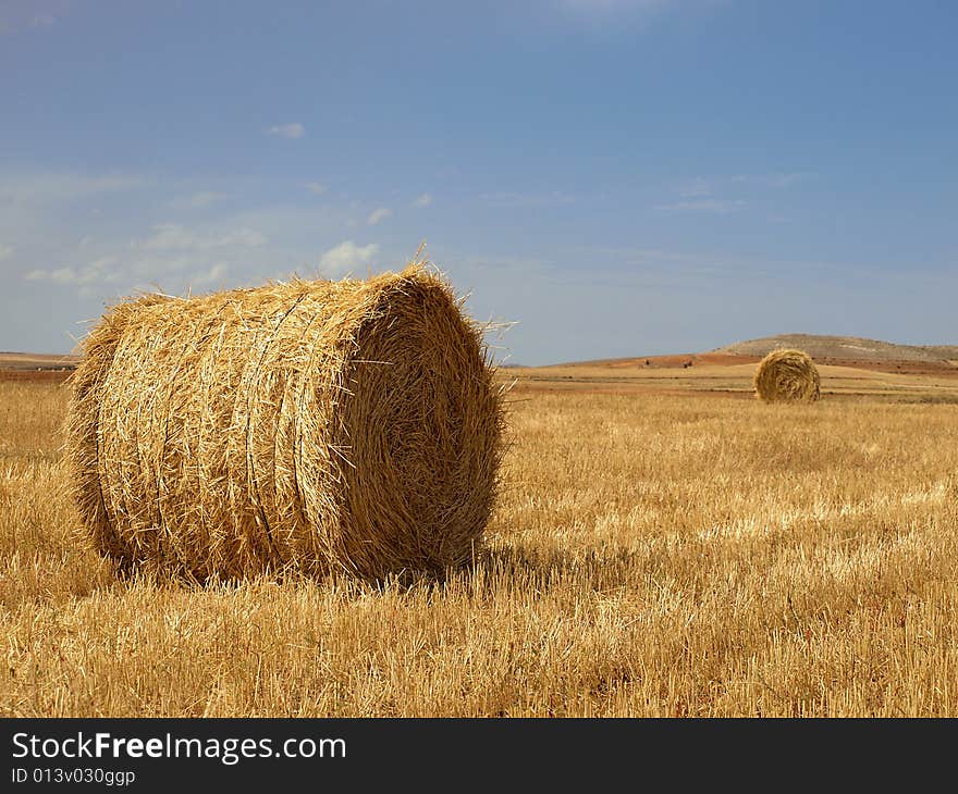 Field harvested with bullets of straw