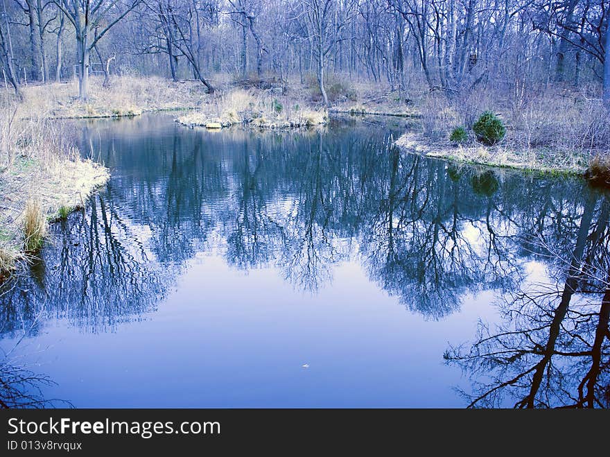 Trees reflected in water of pond