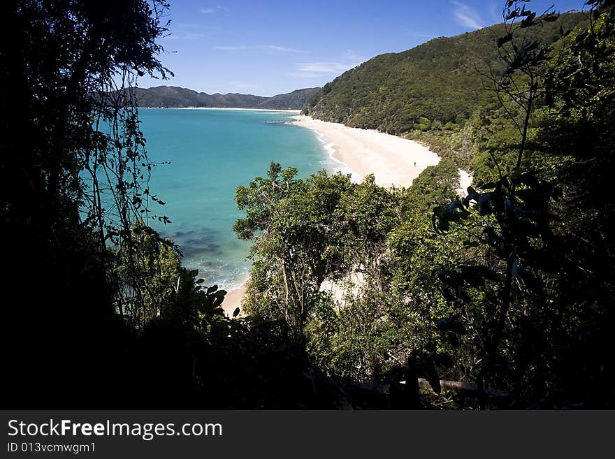 It shows a typical beach with shells in the Abel Tasman Nationalpark. It shows a typical beach with shells in the Abel Tasman Nationalpark