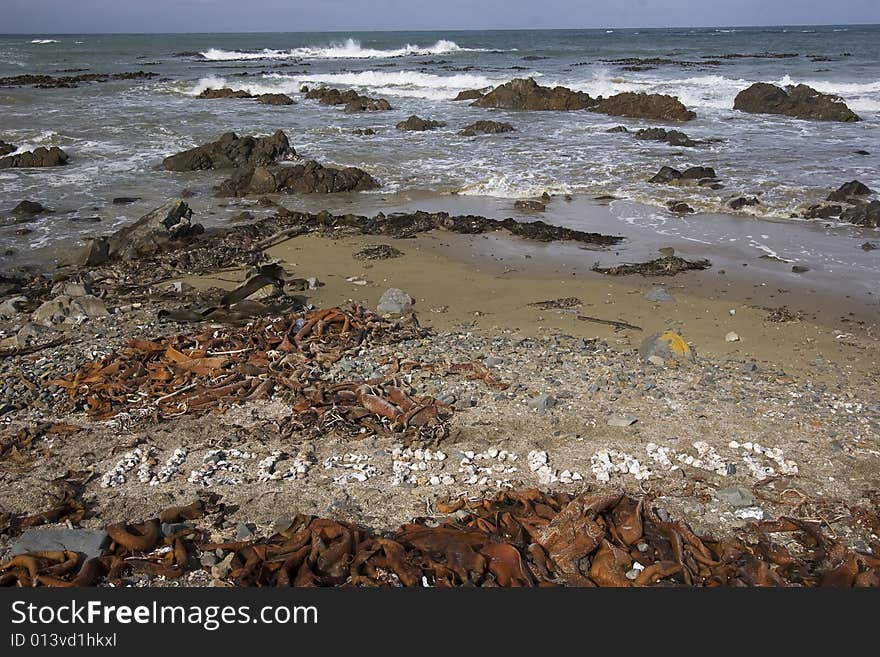 It shows a rocky Beach on the North Island of New Zealand. NEUSEELAND written with shells means New Zealand. It shows a rocky Beach on the North Island of New Zealand. NEUSEELAND written with shells means New Zealand