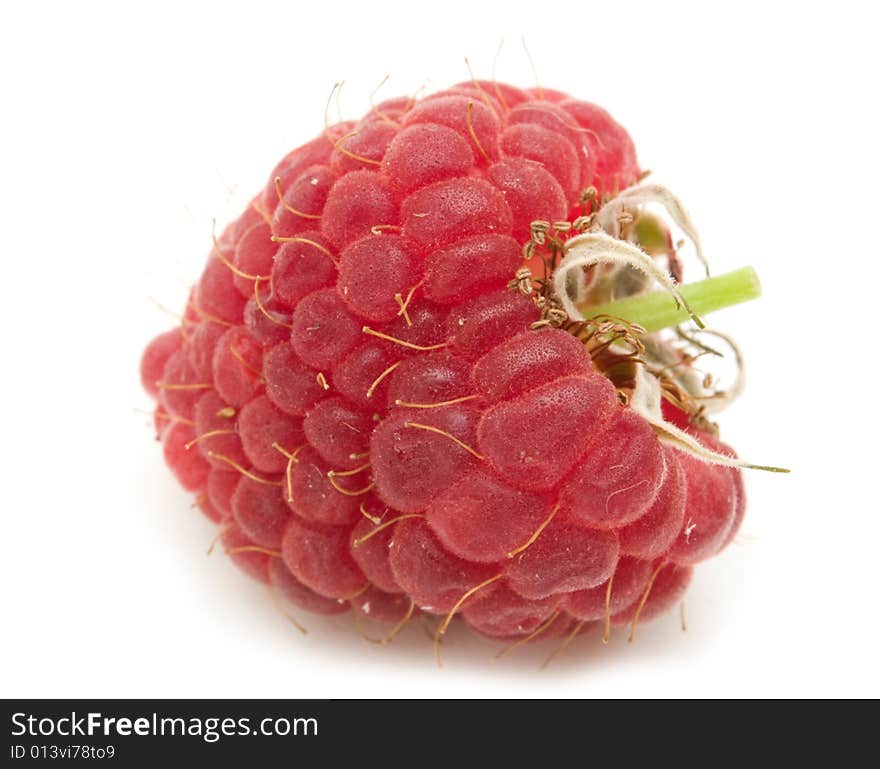 Fresh bio raspberry