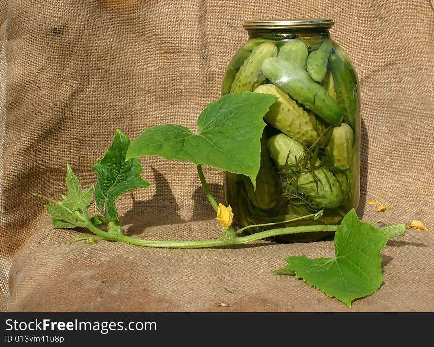 Salty pickled cucumbers in banks. Salty pickled cucumbers in banks